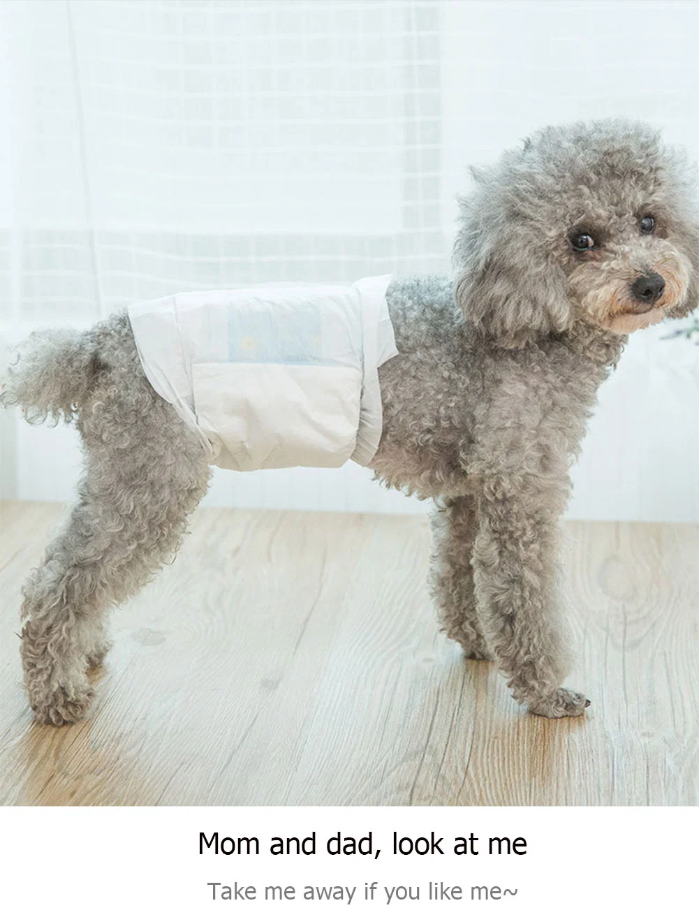 Breathable Incontinence Absorb Quickly Female Male Leak Protection Disposable Dog Diapers